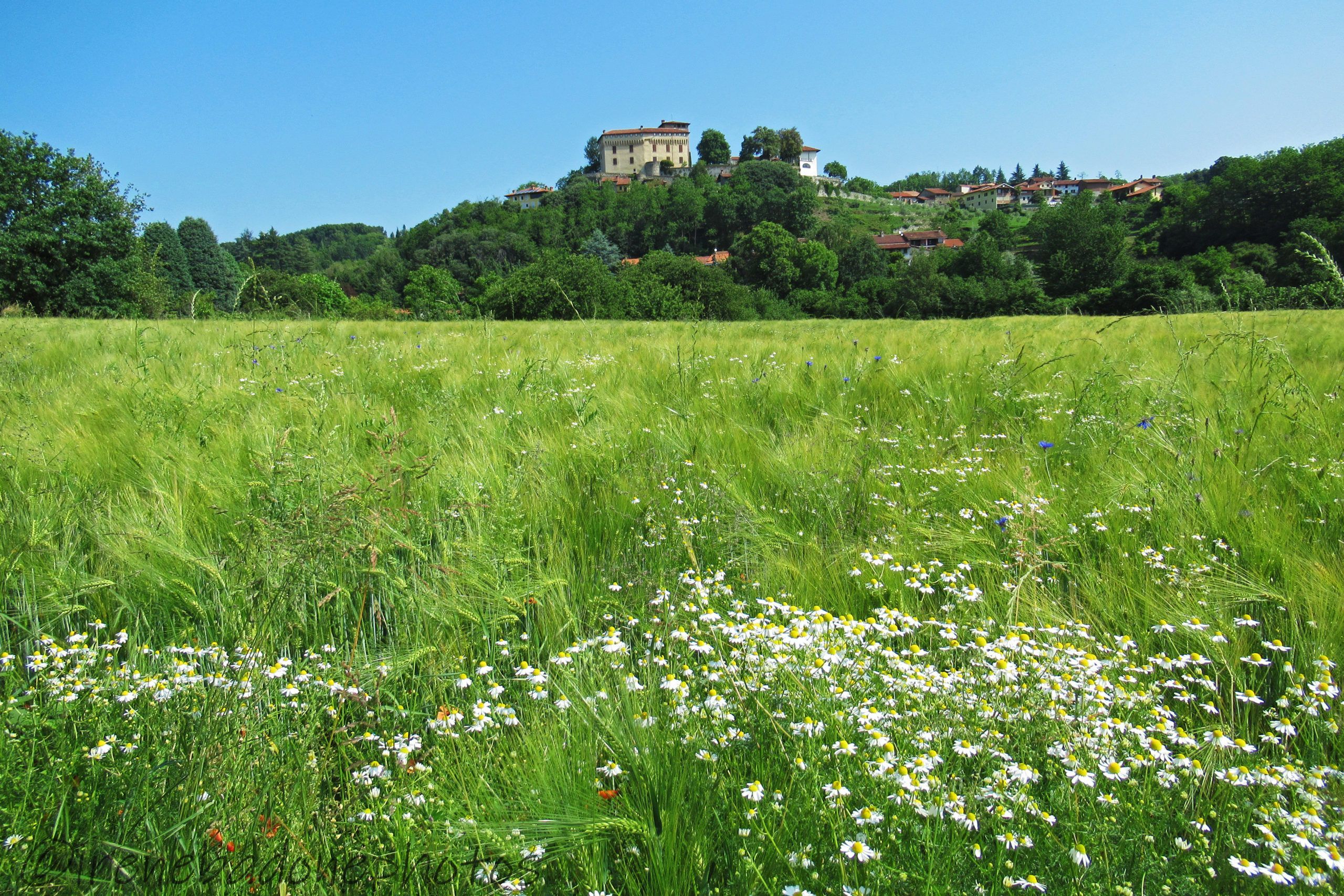 Il Castello di Roppolo