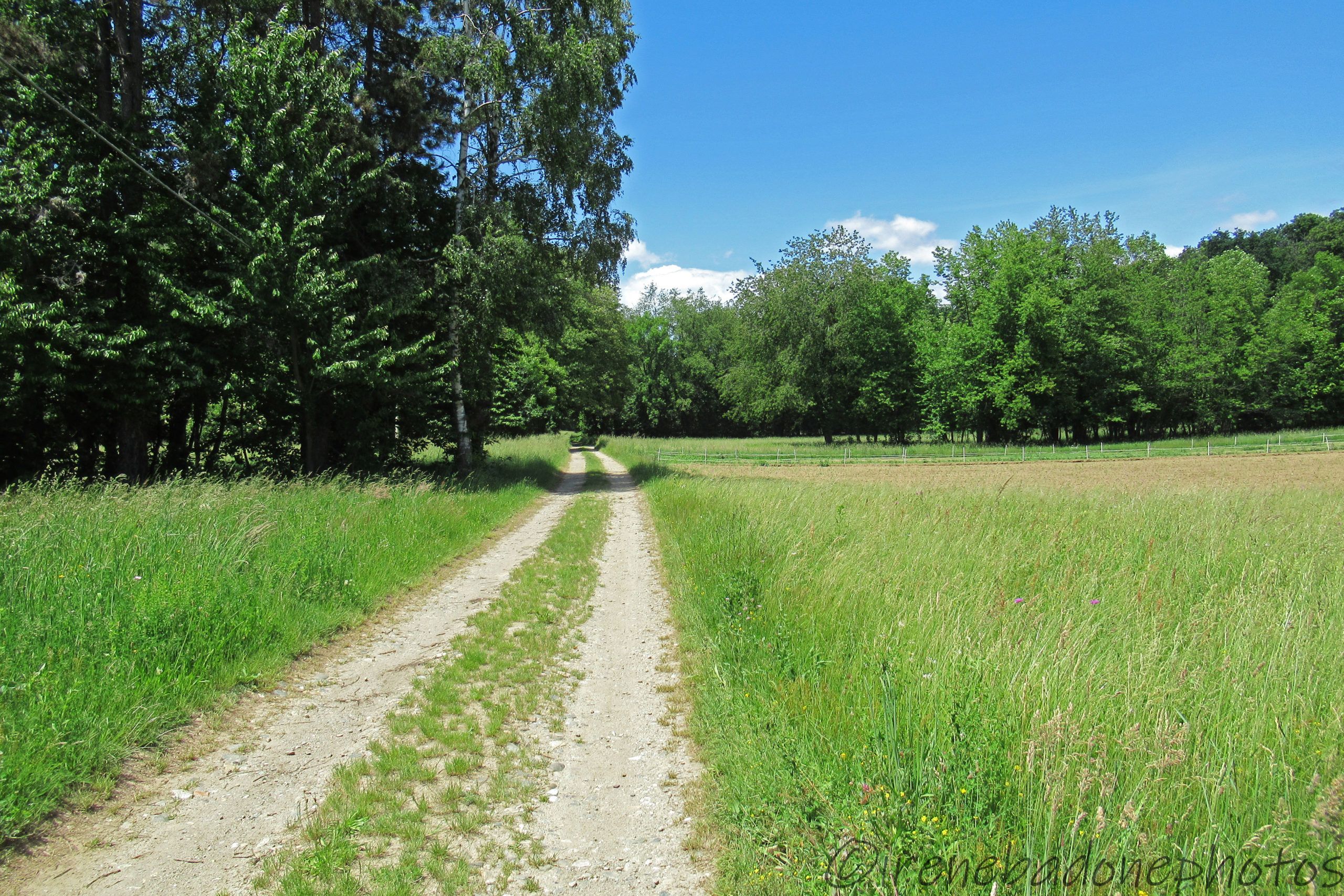 Tra la campagna. sulla via del ritorno