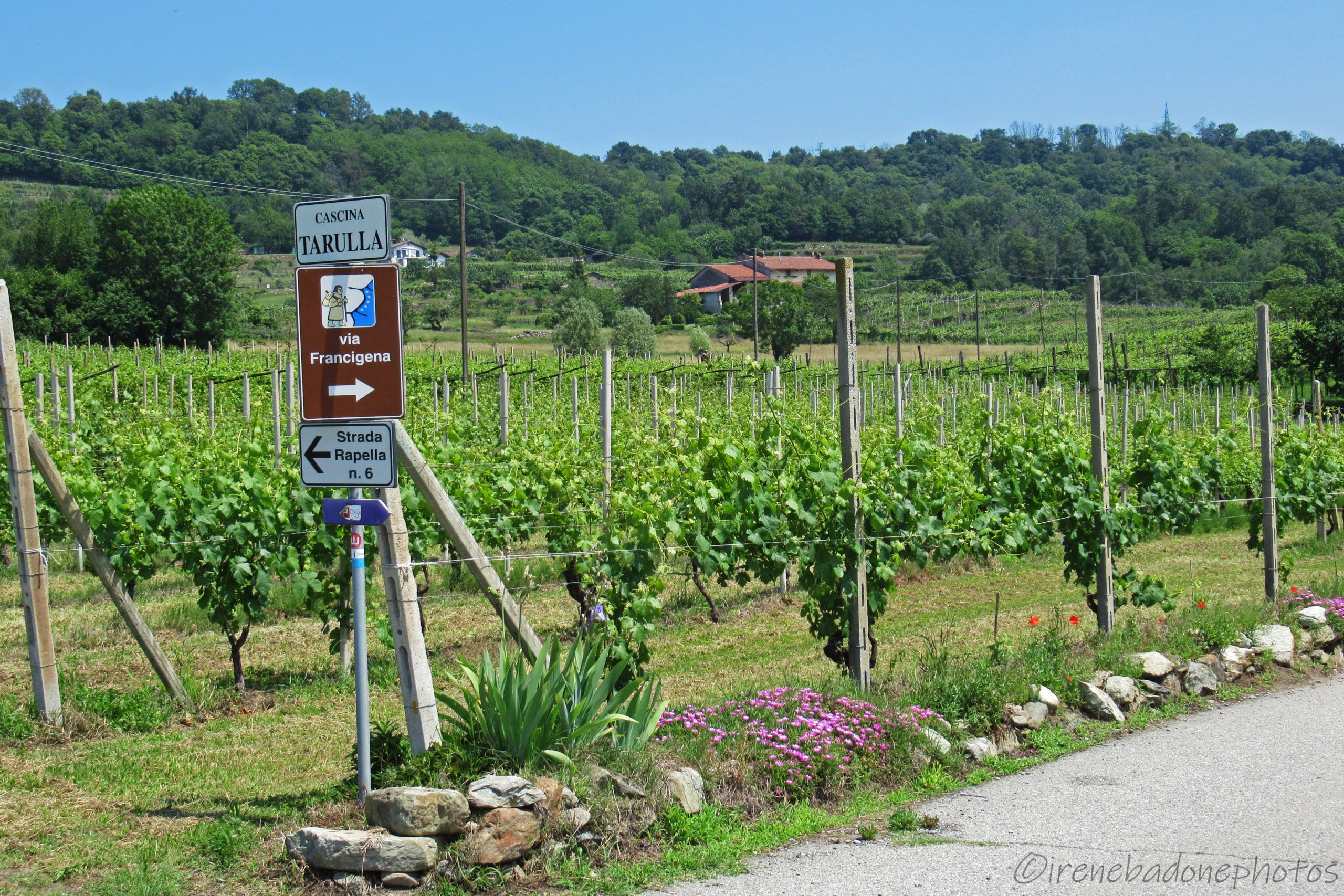 Sulla Via Francigena