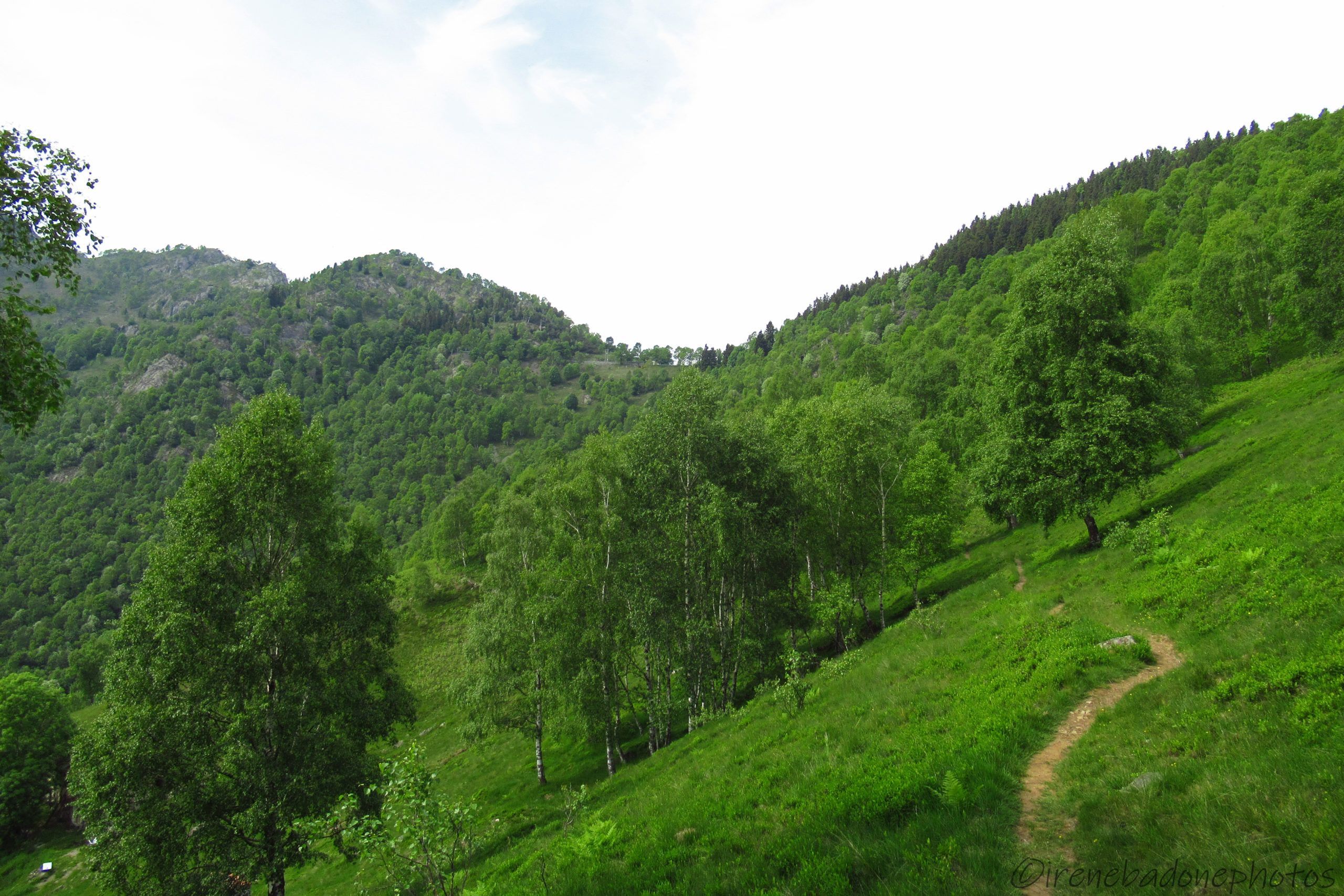 Verso Bocchetto Luvera