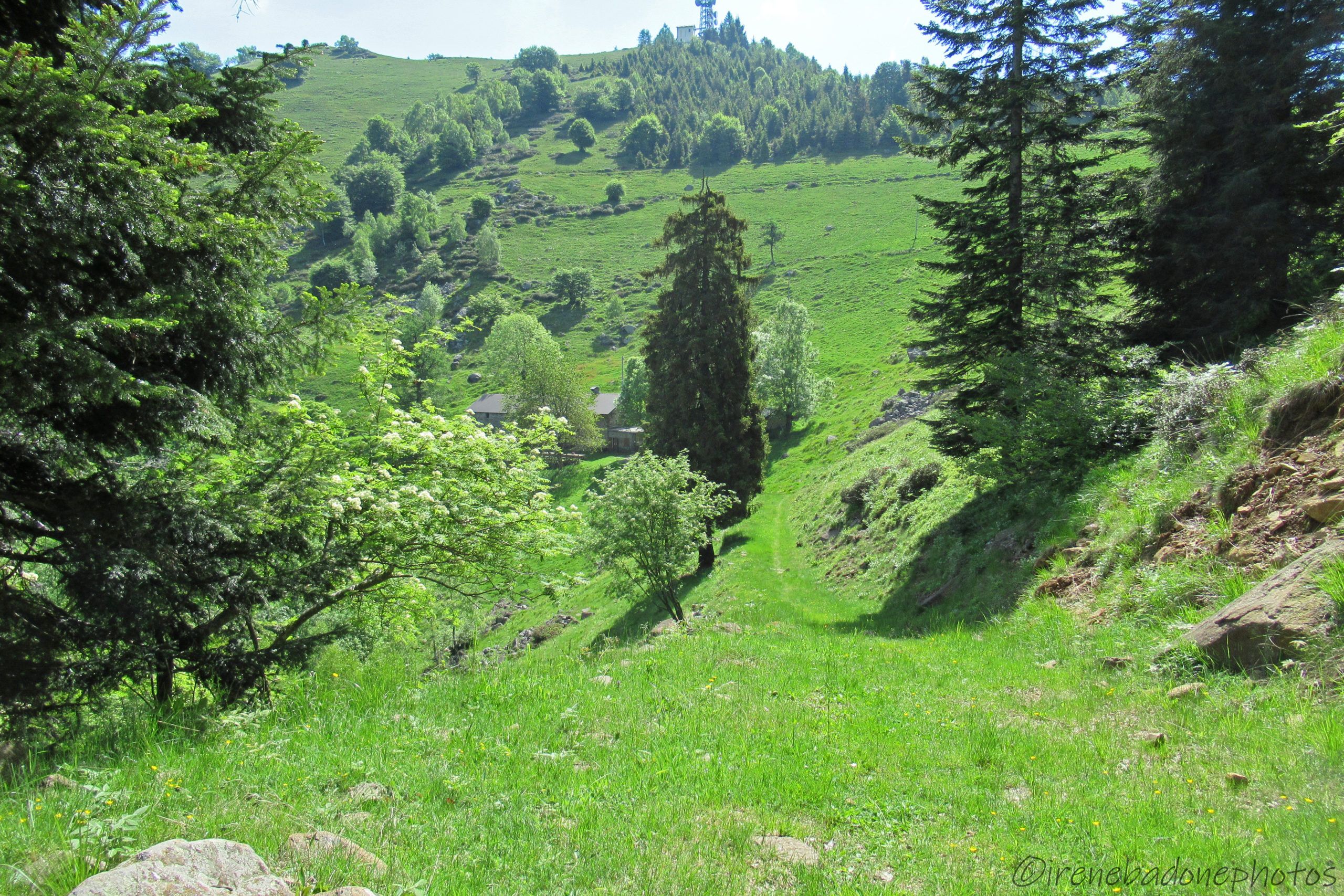 Alle pendici dell'Alpe Margosio