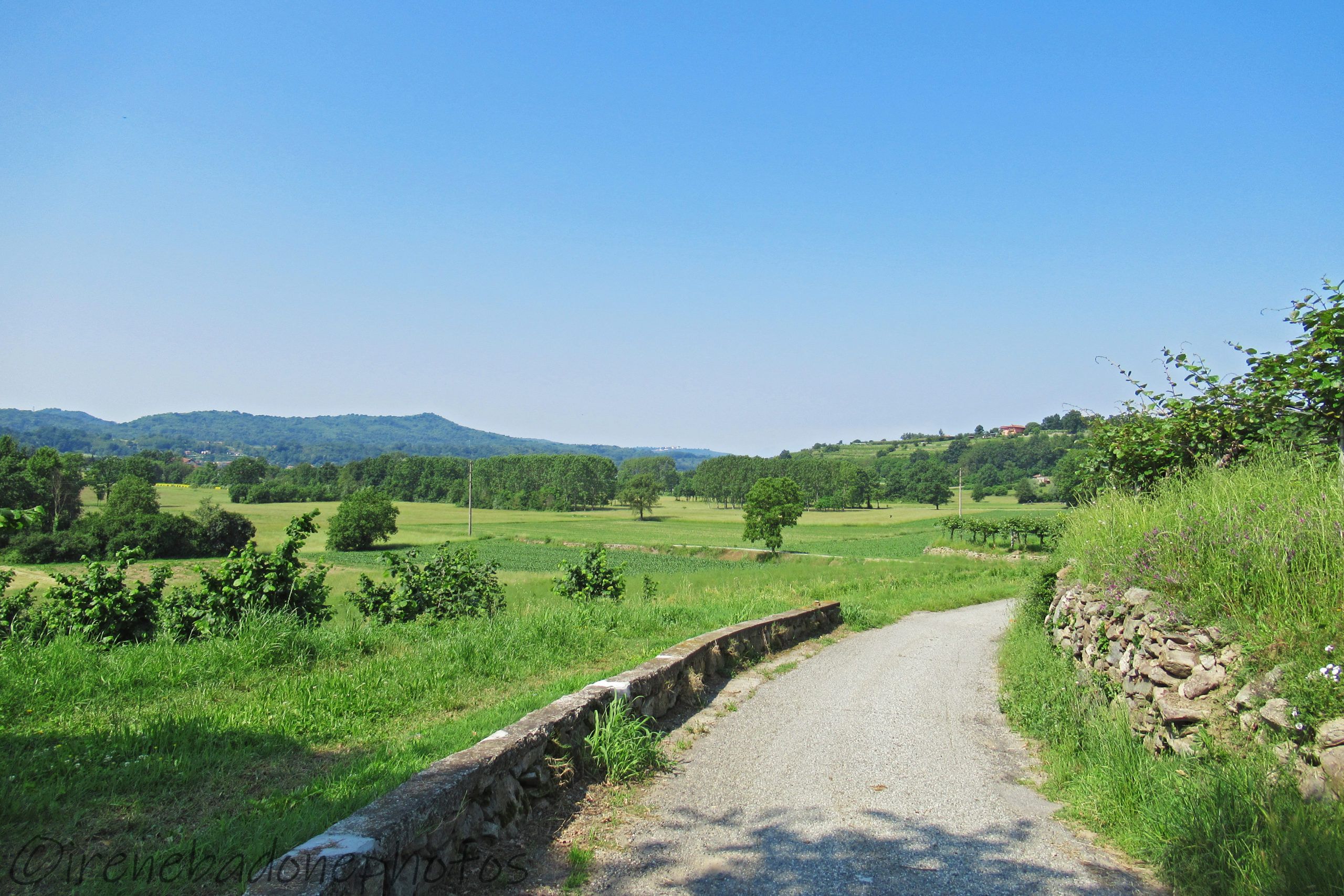 Scendendo verso il lago di Viverone