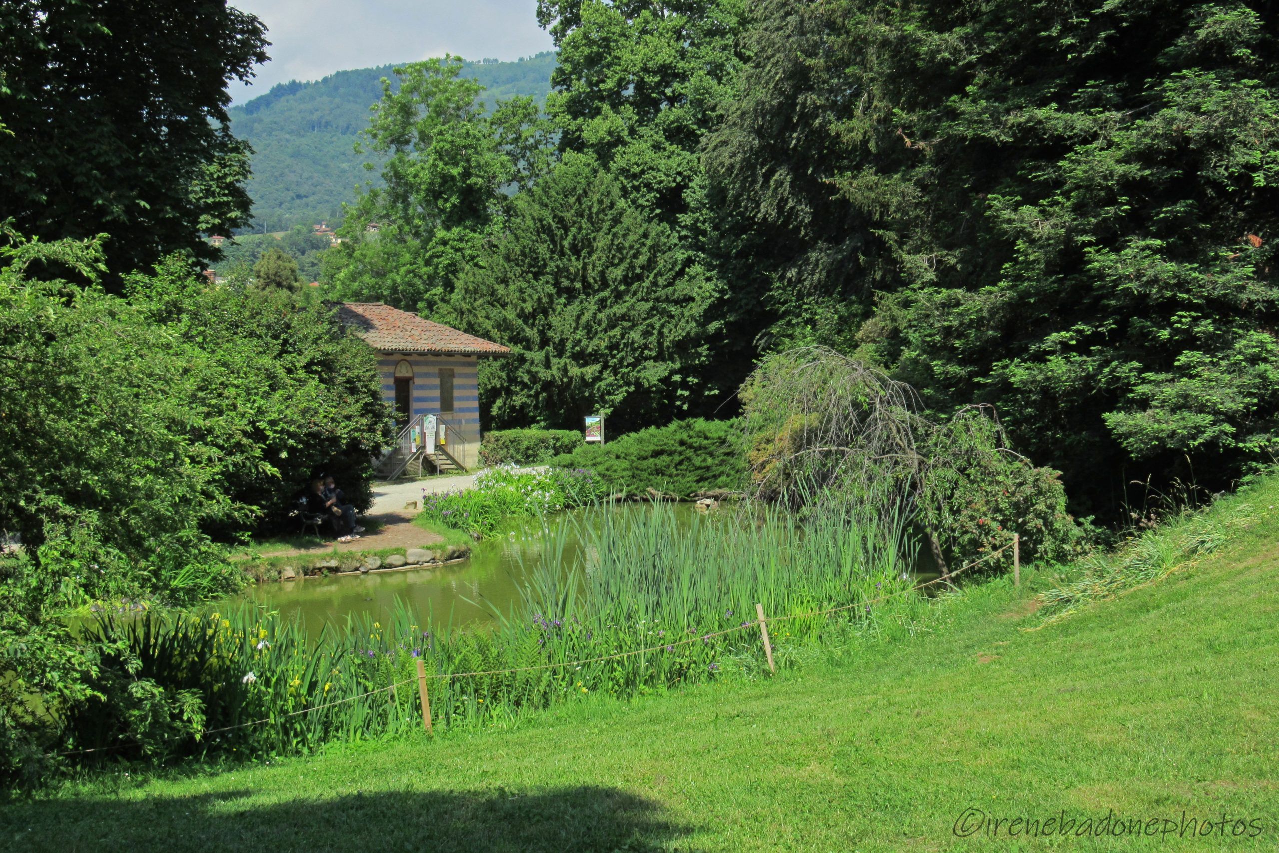 Il laghetto, poco dopo l'ingresso nel Parco Burcina