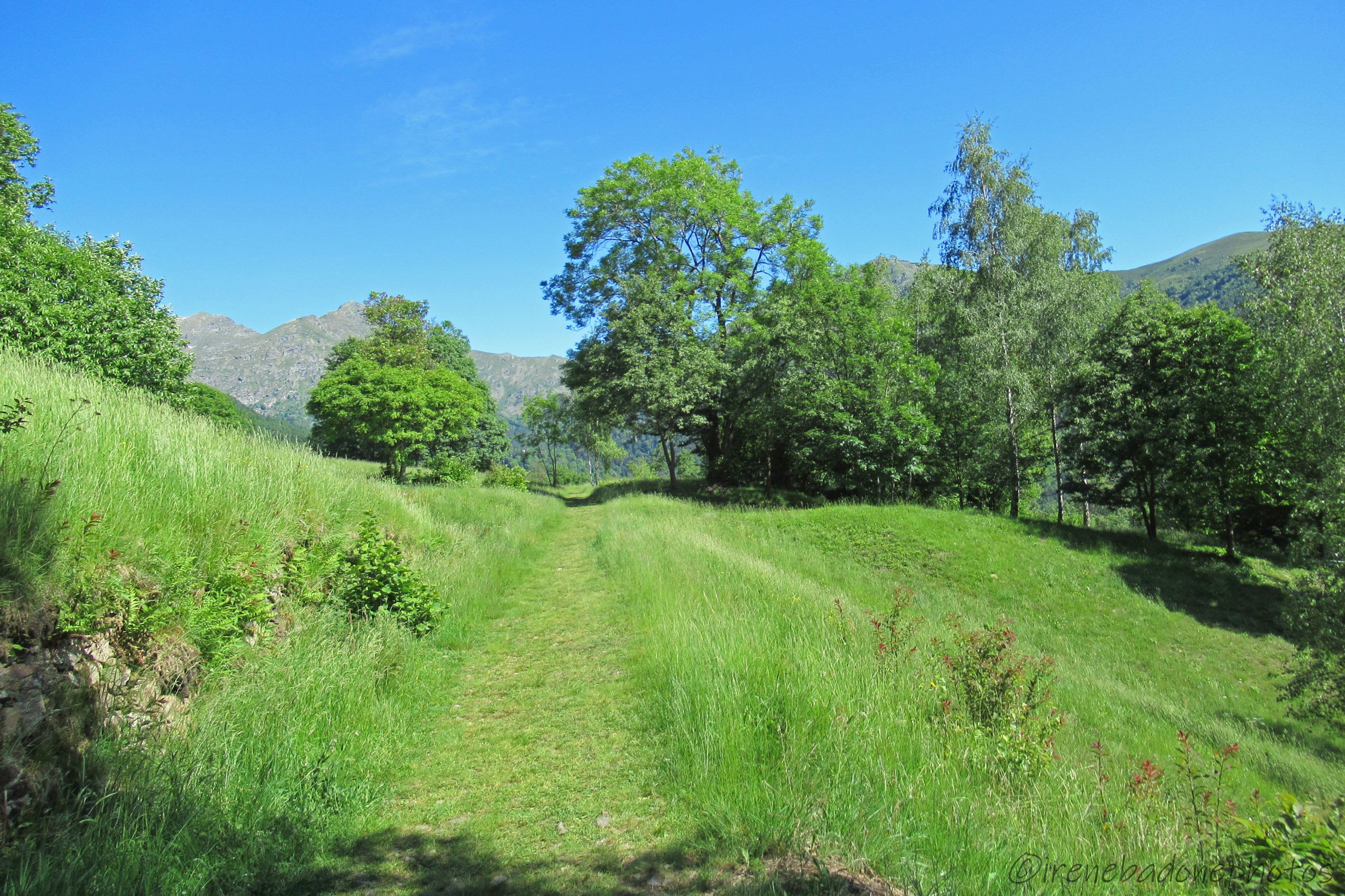 Panorama nei pressi dell'antica "Oropa Bagni"