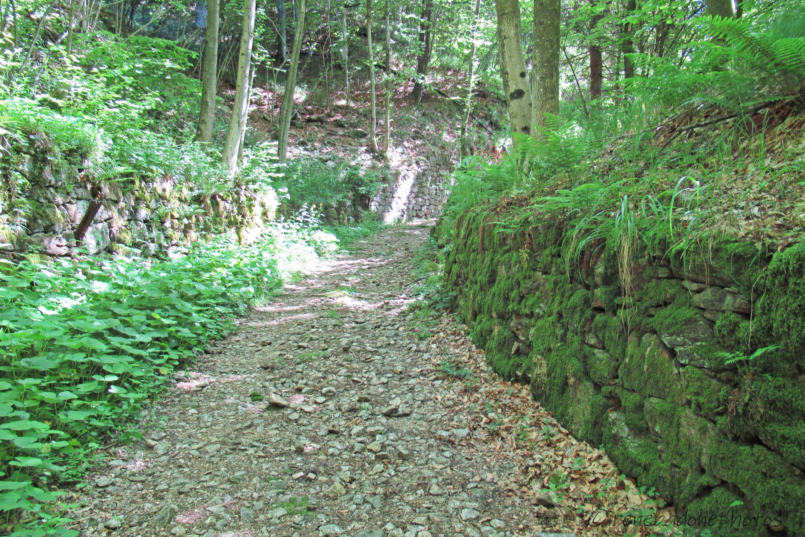Ai lati del sentiero si possono notare le tracce delle antiche rotaie