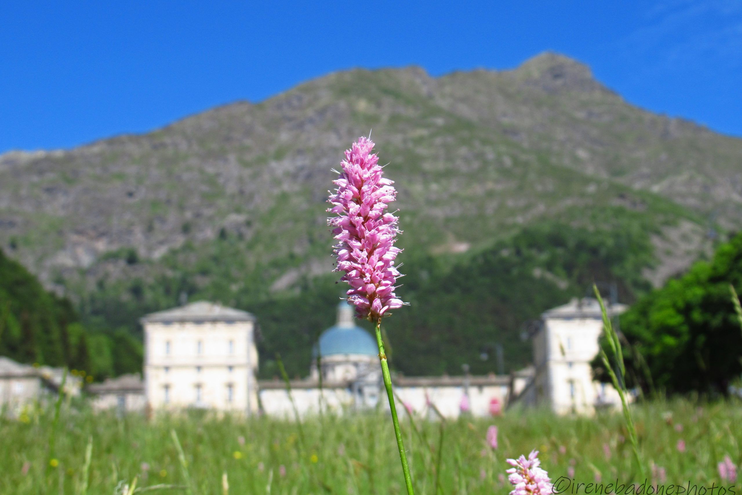 Il Santuario visto dal "Prato delle Oche"