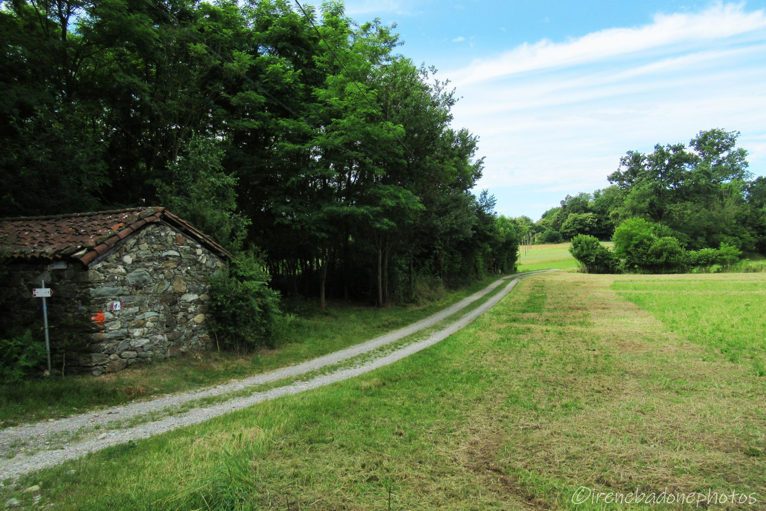 Strada sterrata nei pressi del "Ròch d'la Regina"