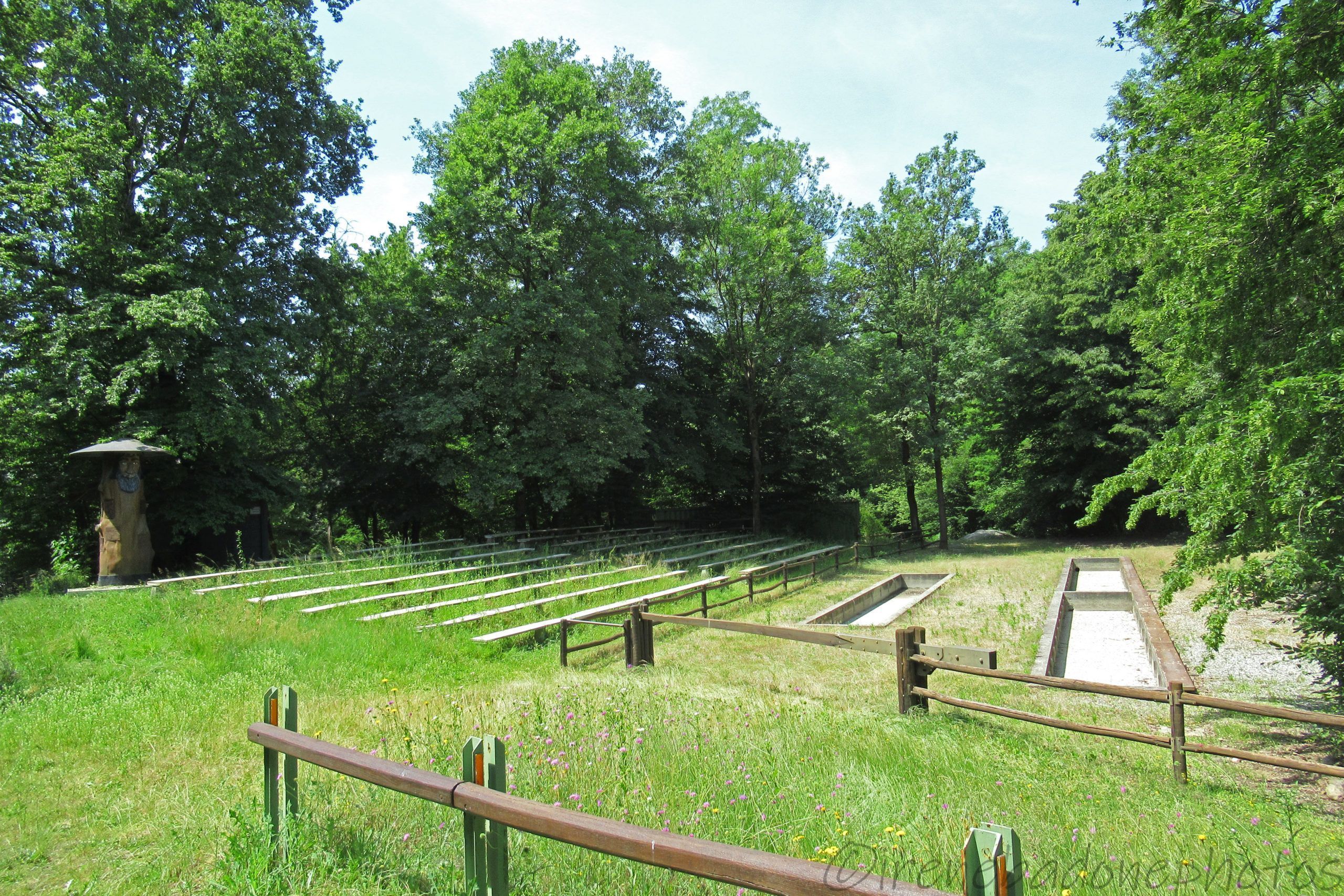 L'Arena di Victimula