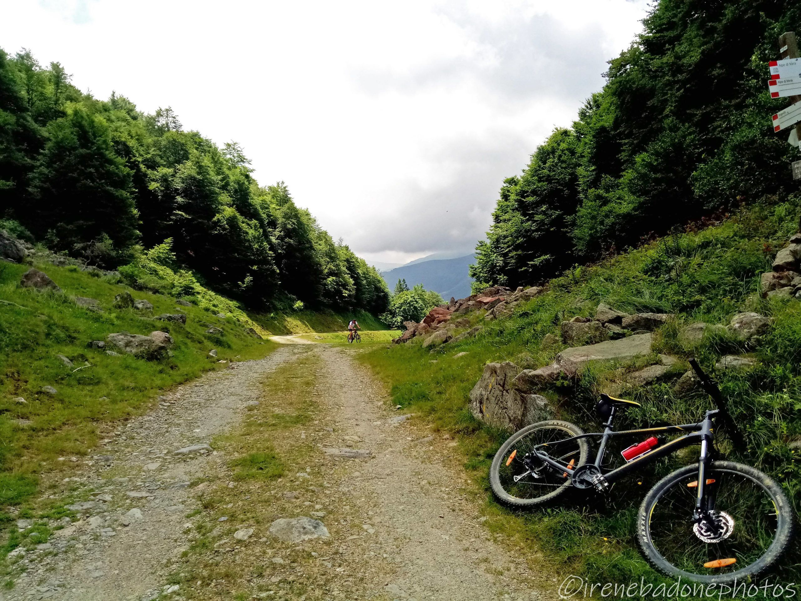 Arrivando dalla Valsessera