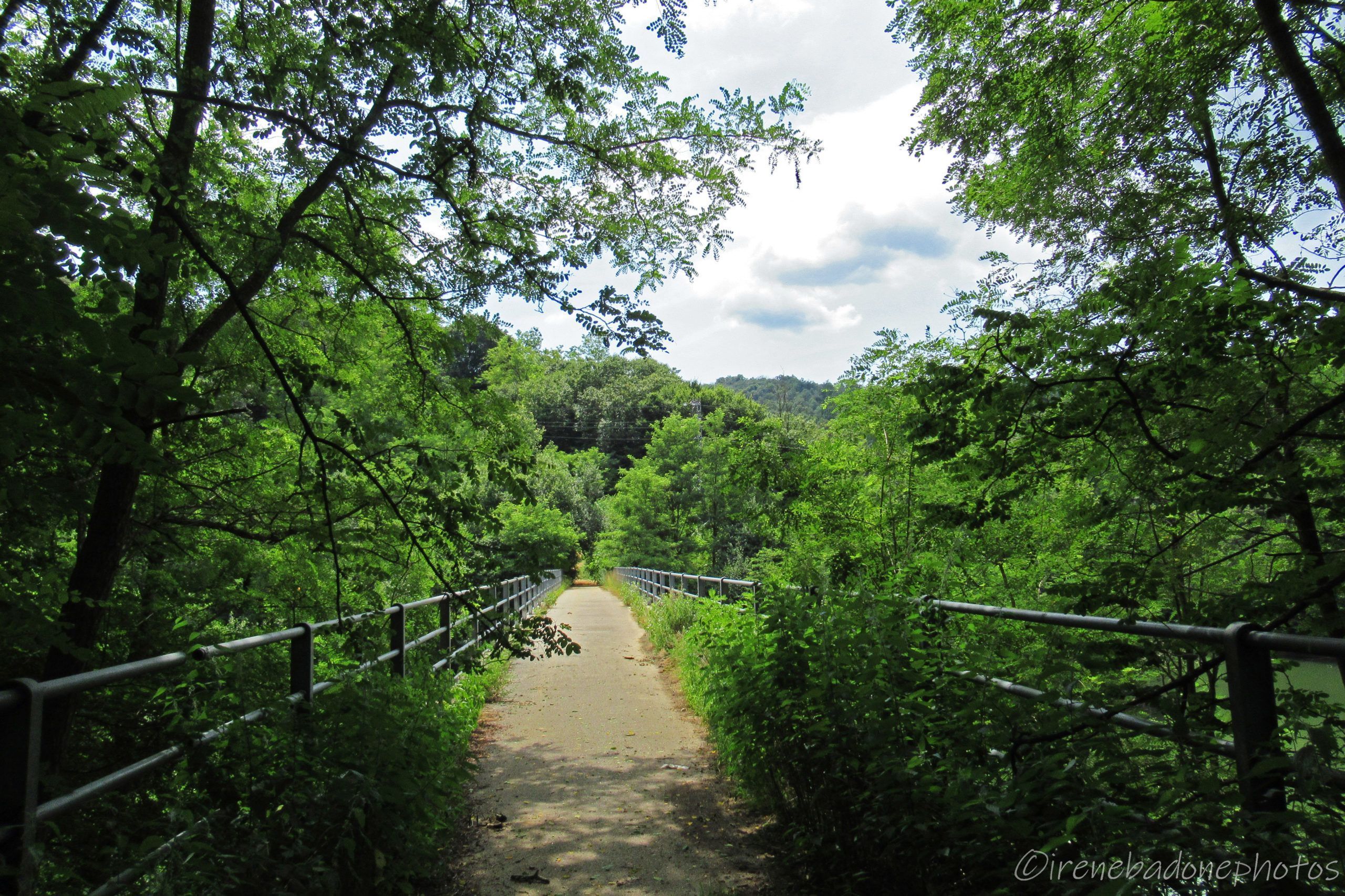 Il ponte che attraversa il lago dell'Ingagna