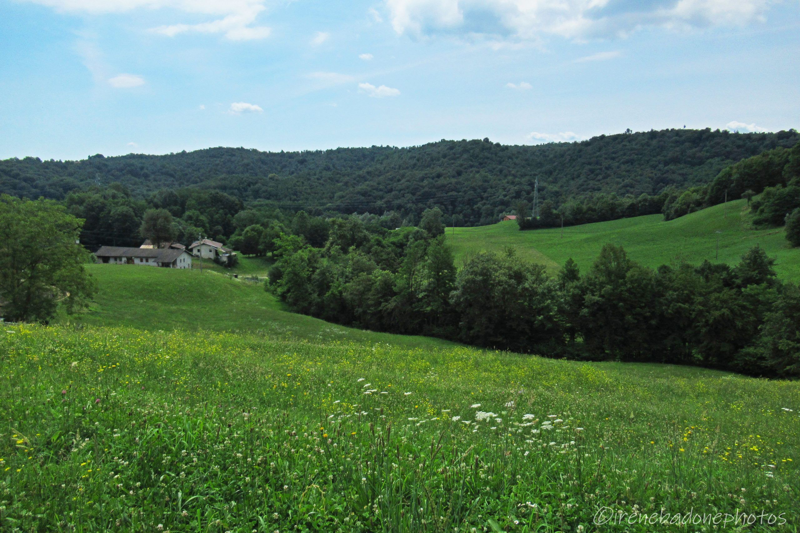 Scendendo tra i prati e le cascine