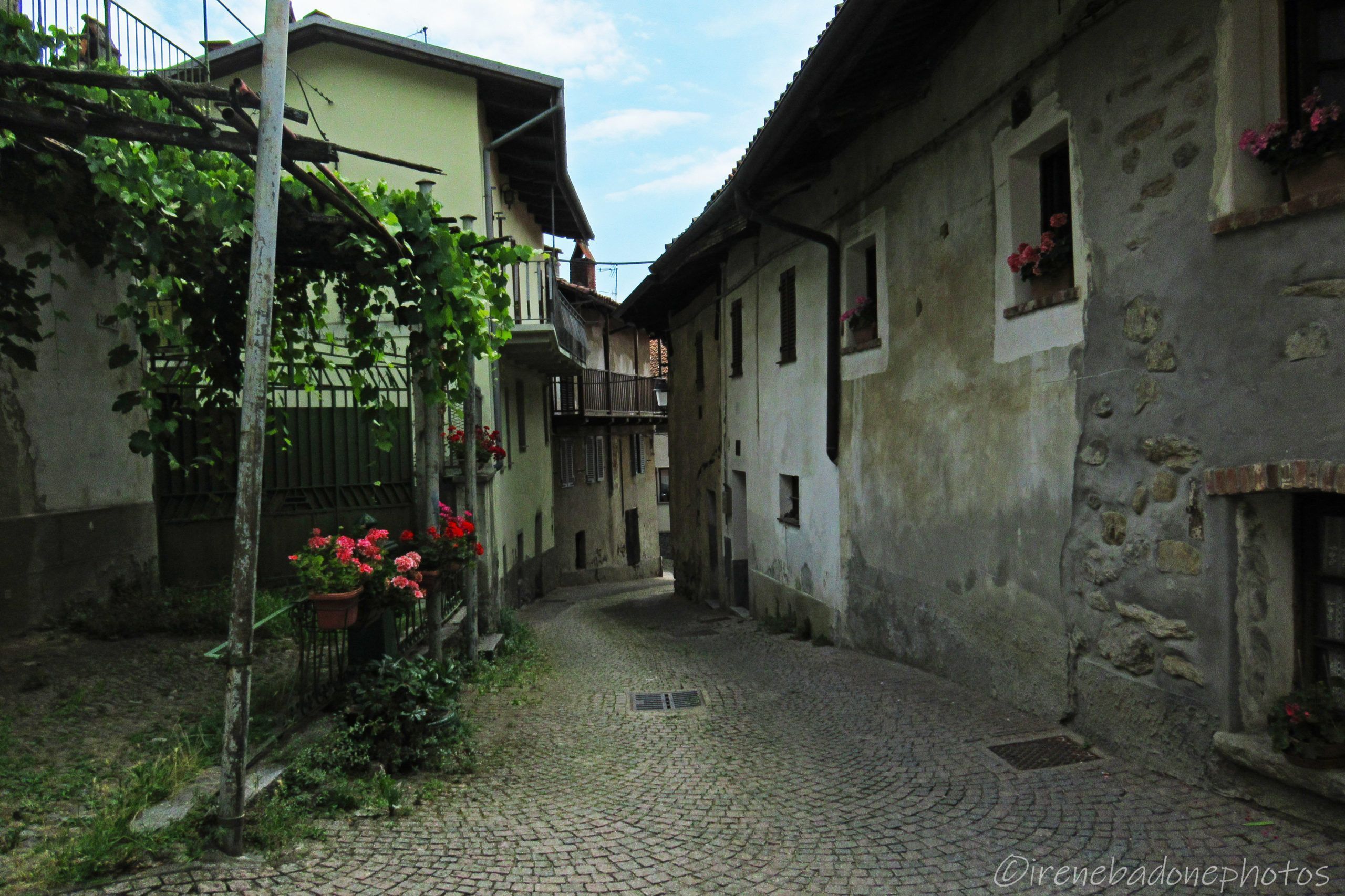 A suggestive view of the locality of Colla di Netro