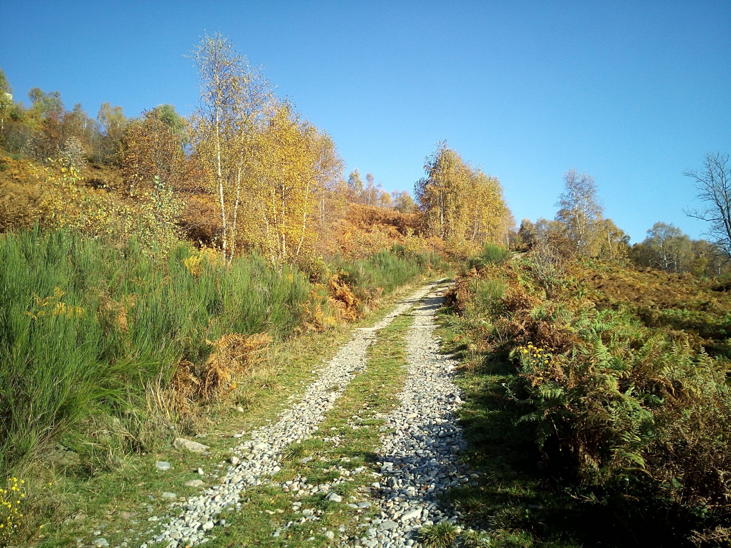 The descent on the gravel bends