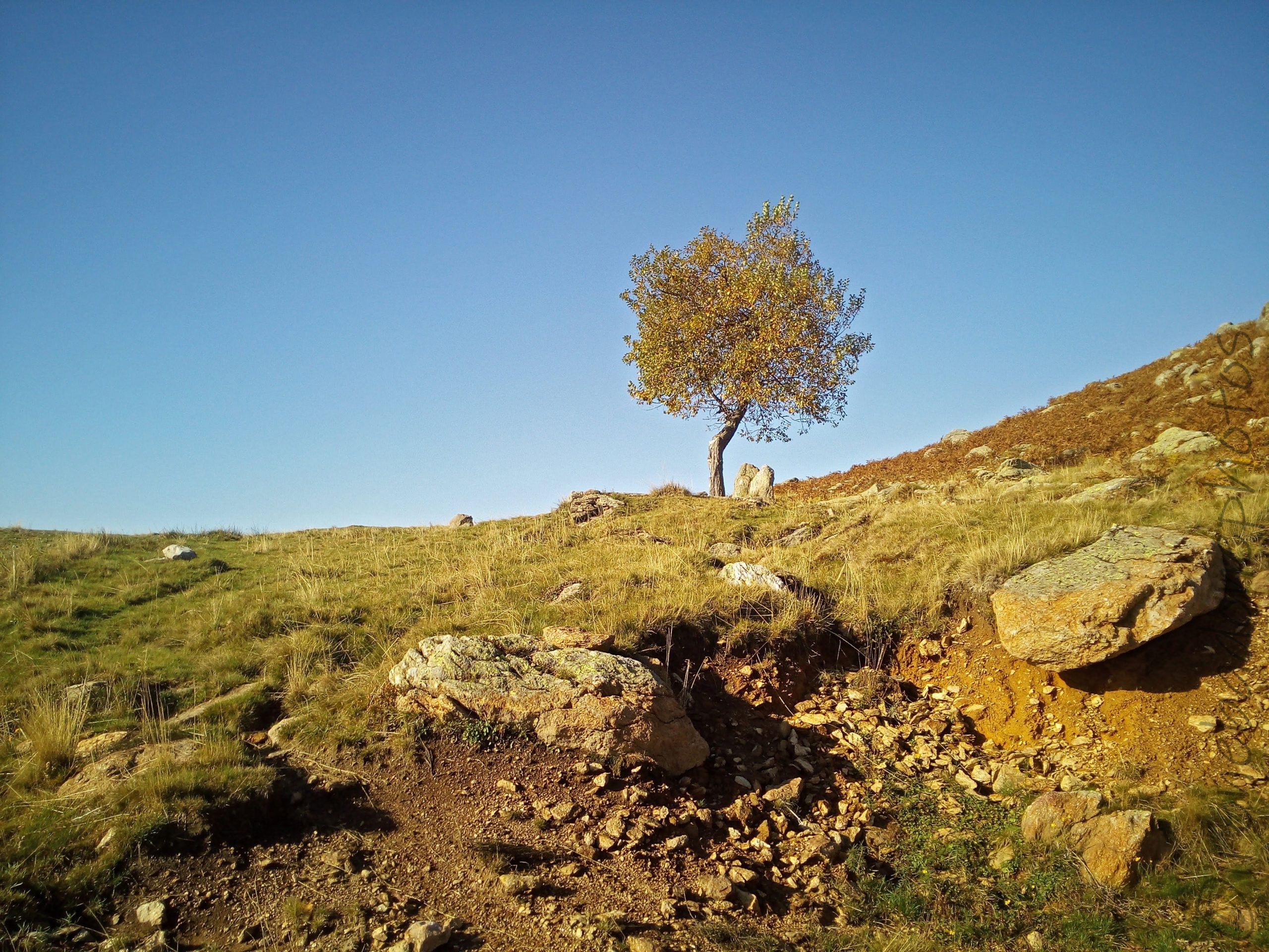 Colori autunnali in alta montagna