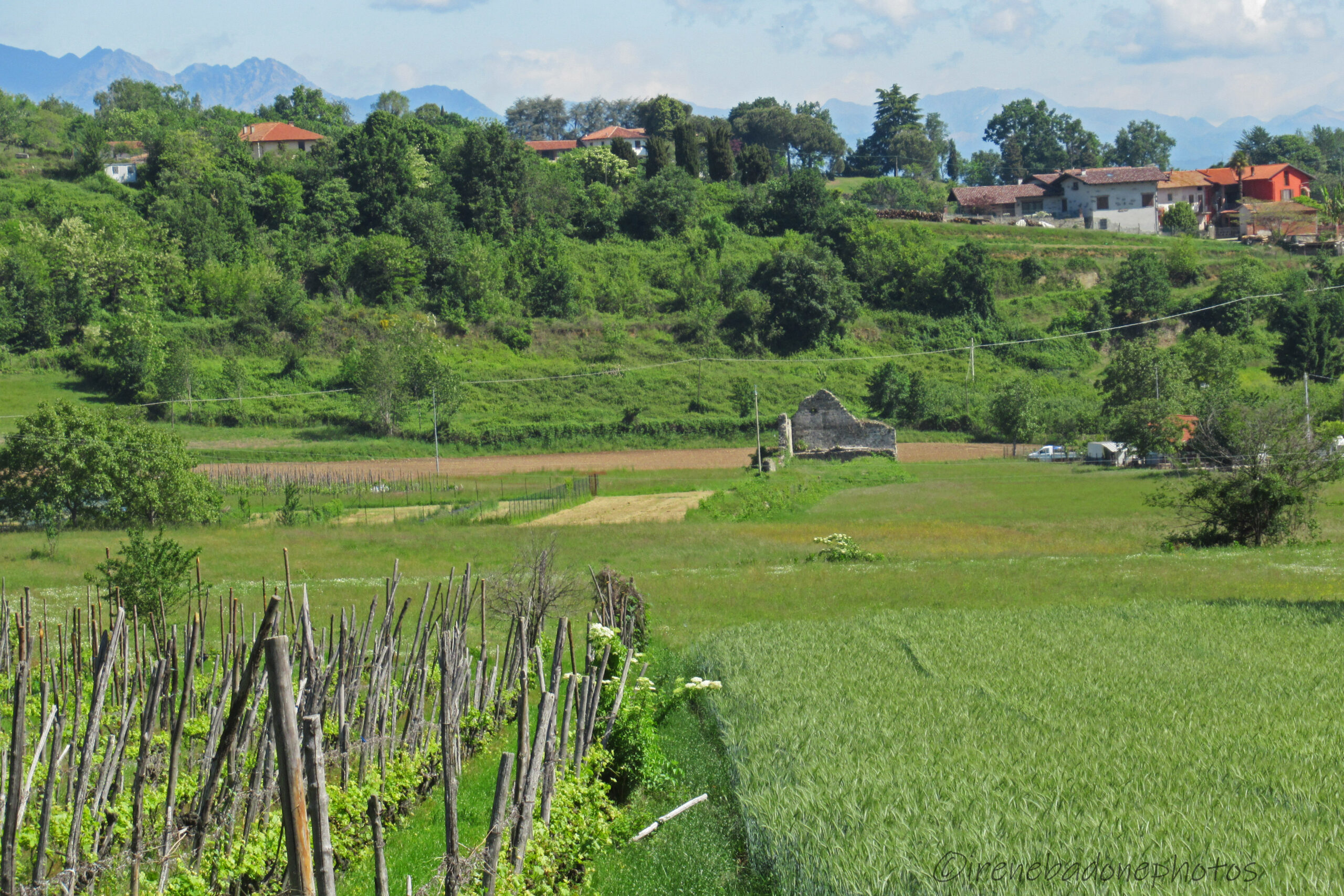 Ruderi della Pieve paleocristiana di San Secondo Martire