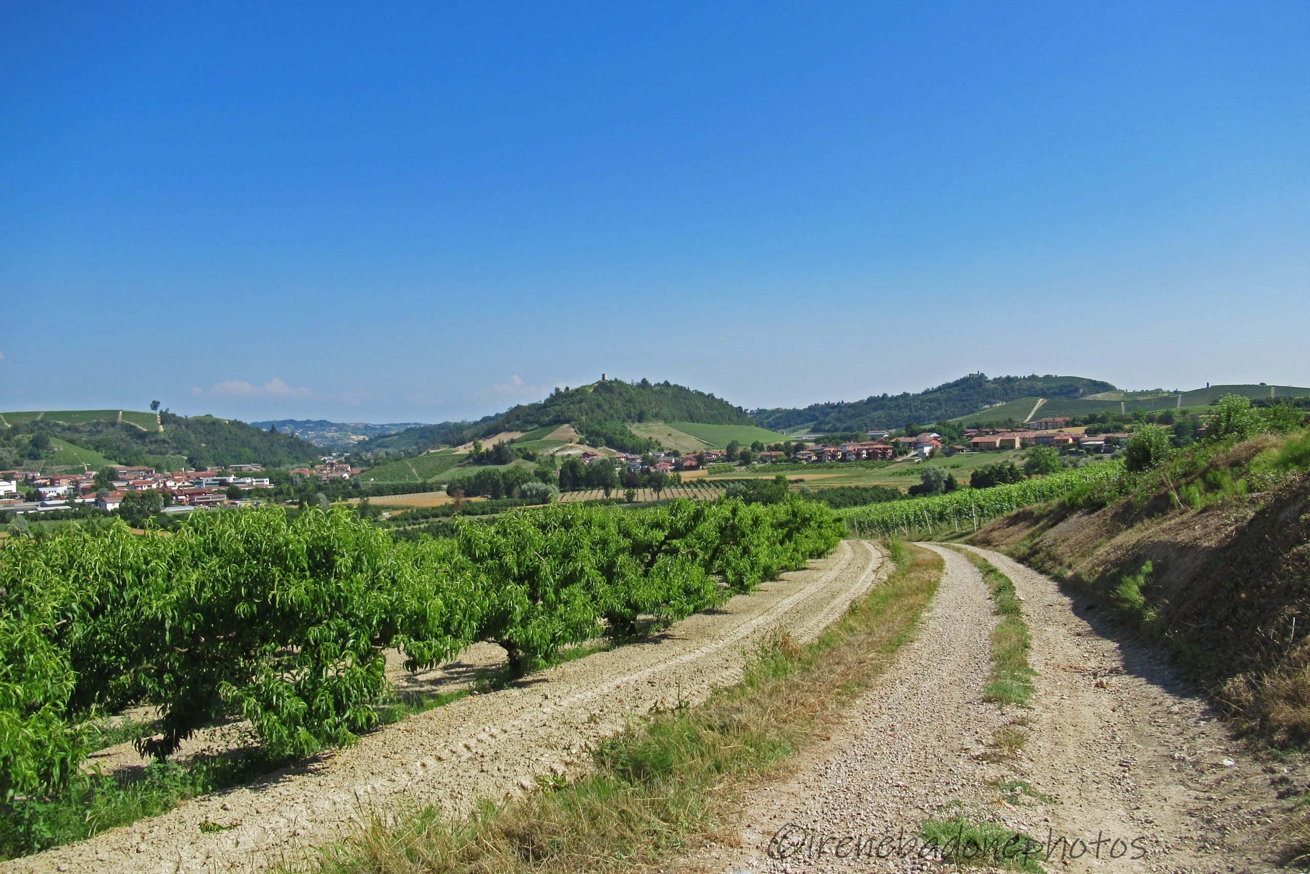 Partiamo da Guarene e percorriamo tutti i sentieri che ci porteranno ad esplorare le rocche del Roero!