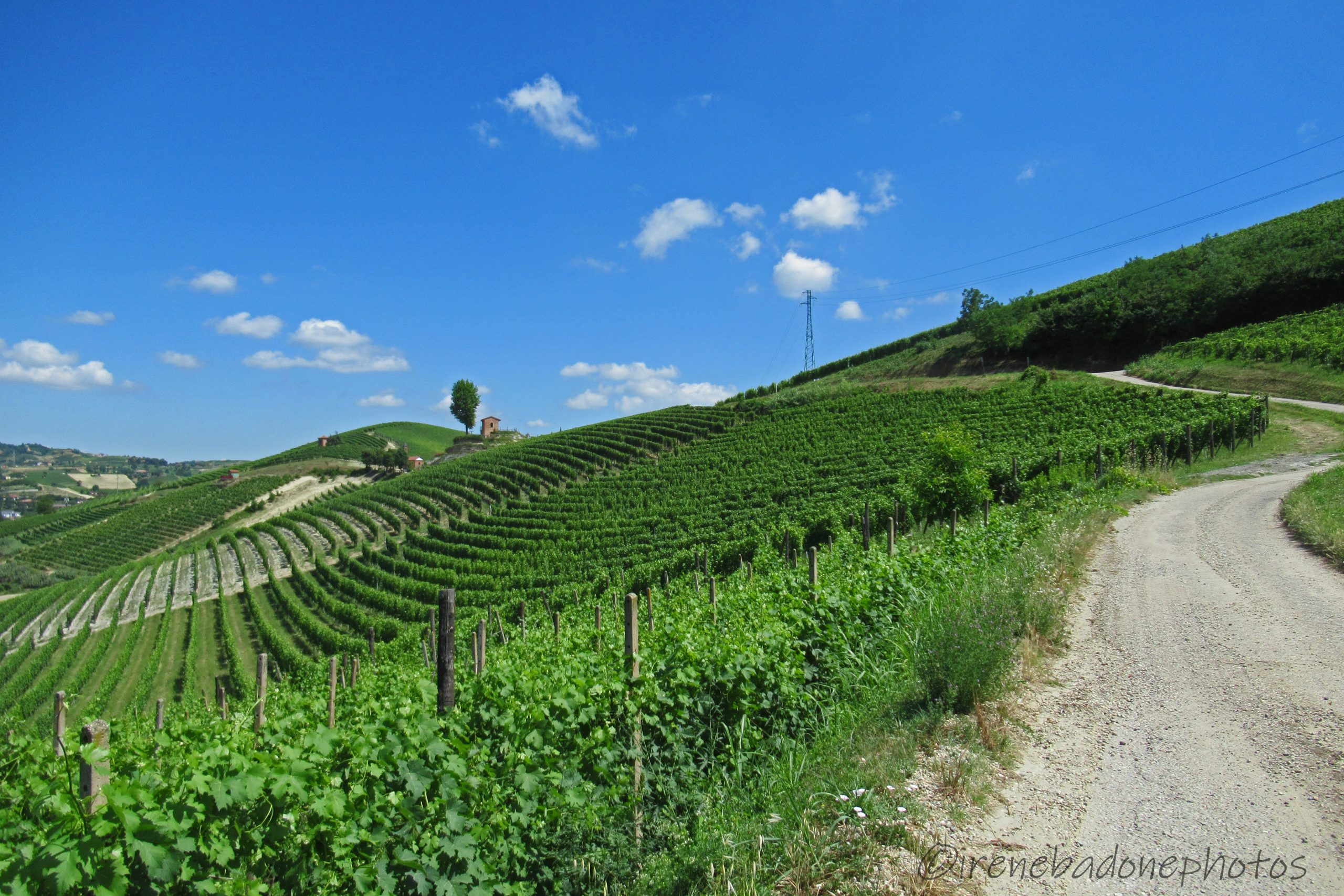 Monter et descendre entre une colline et une autre, sur des pistes très pittoresques