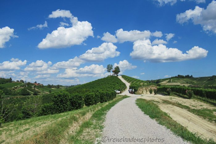 Ovunque aziende agricole con piccoli spacci di prodotti locali