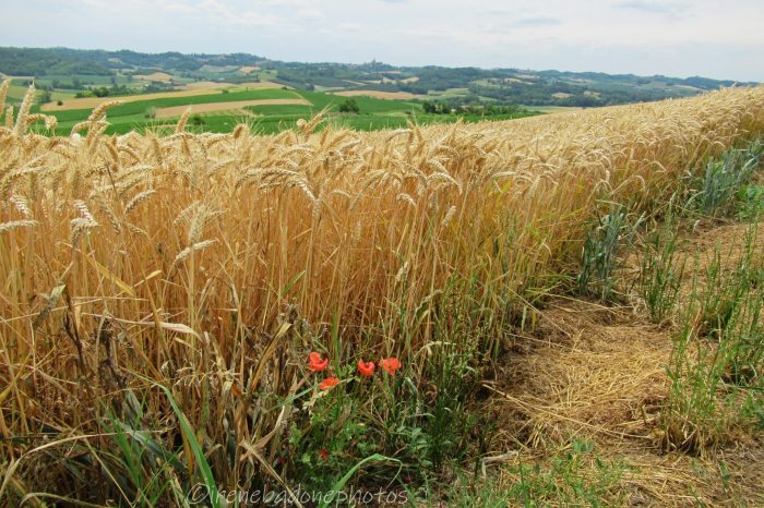 Panorami eccezionali in ogni stagione