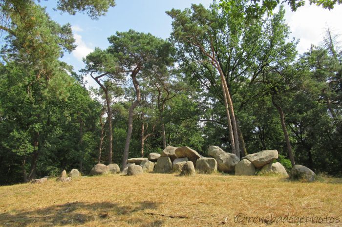 Il dolmen D45, uno dei tanti autentici nei dintorni di Emmen
