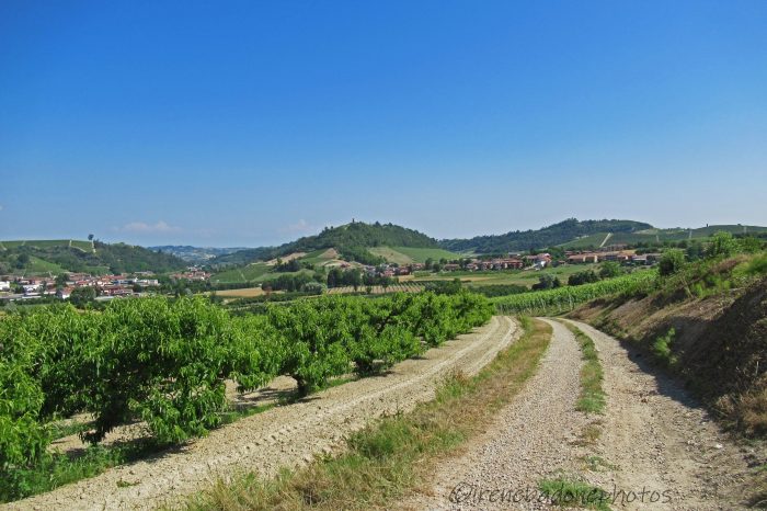 Partiamo da Guarene e percorriamo tutti i sentieri che ci porteranno ad esplorare le rocche del Roero!