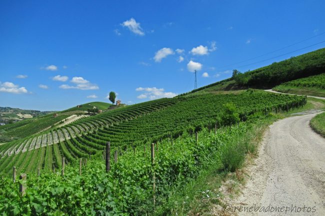 Su e giù tra una collina e l'altra, su sentieri sterrati molto panoramici