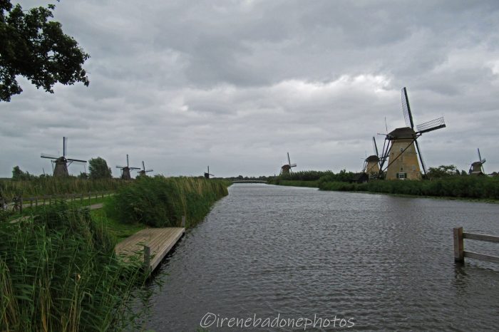 Il tempo sembra essersi fermato quando si pedala lungo il canale e si ammirano i mulini originali e in parte ancora funzionanti di Kinderdijk
