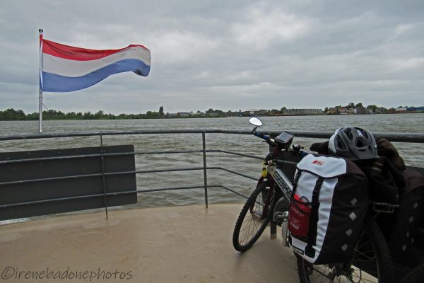 Il battellino ci porta da Rotterdam a Kinderdijk